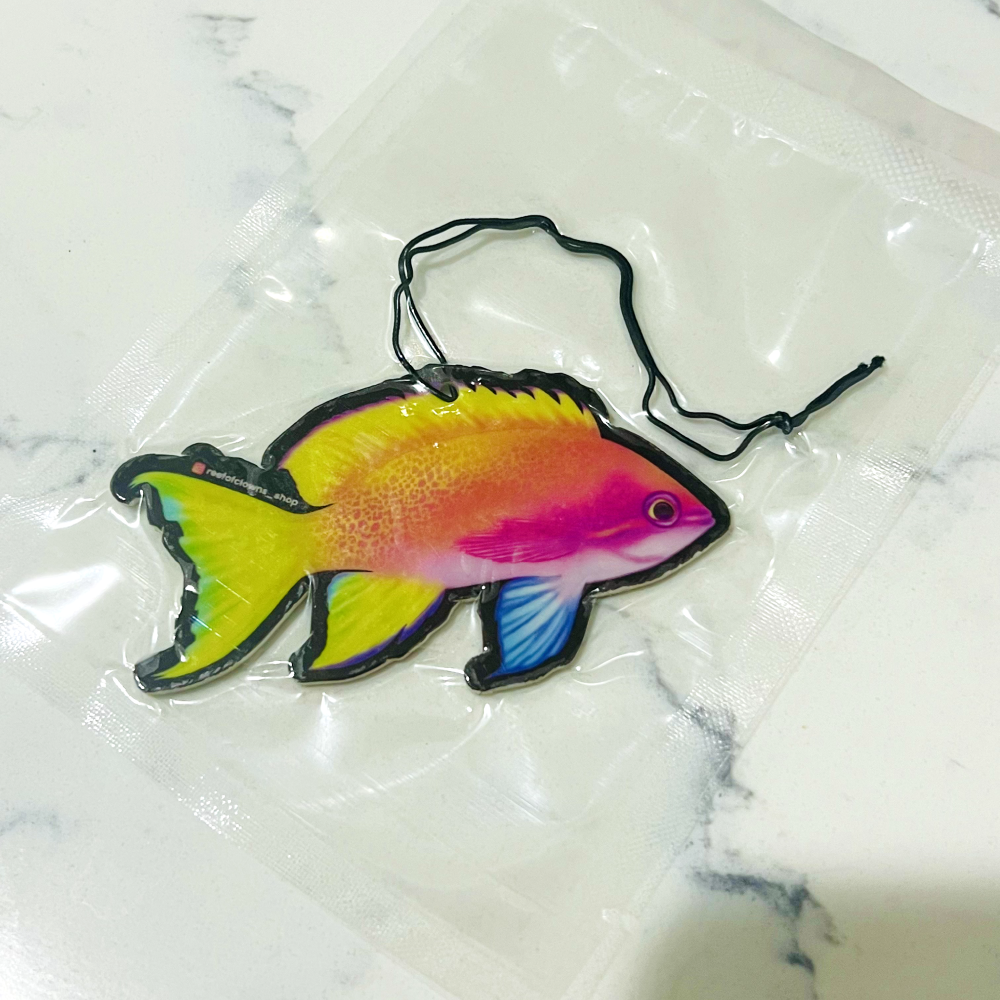 Anthias Shaped Air Freshener - Reef of Clowns LLC