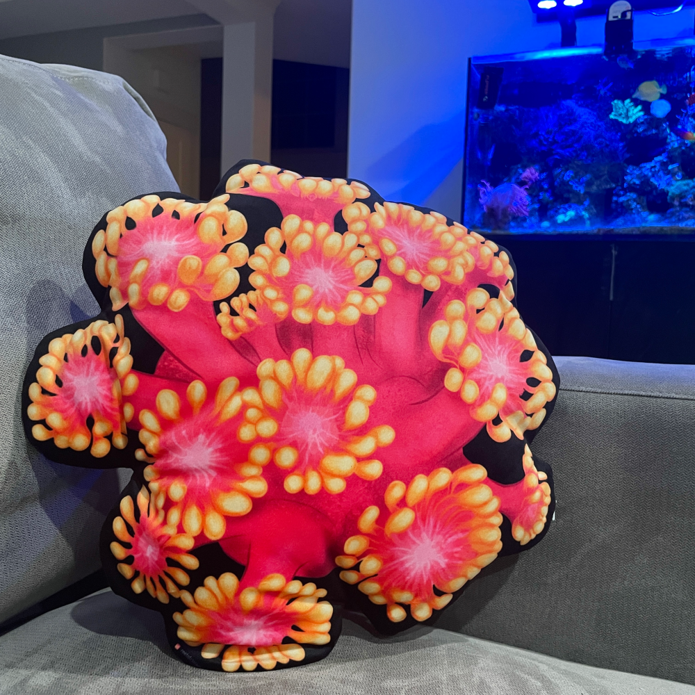 Golden Inferno Goniopora Pillow - Reef of Clowns