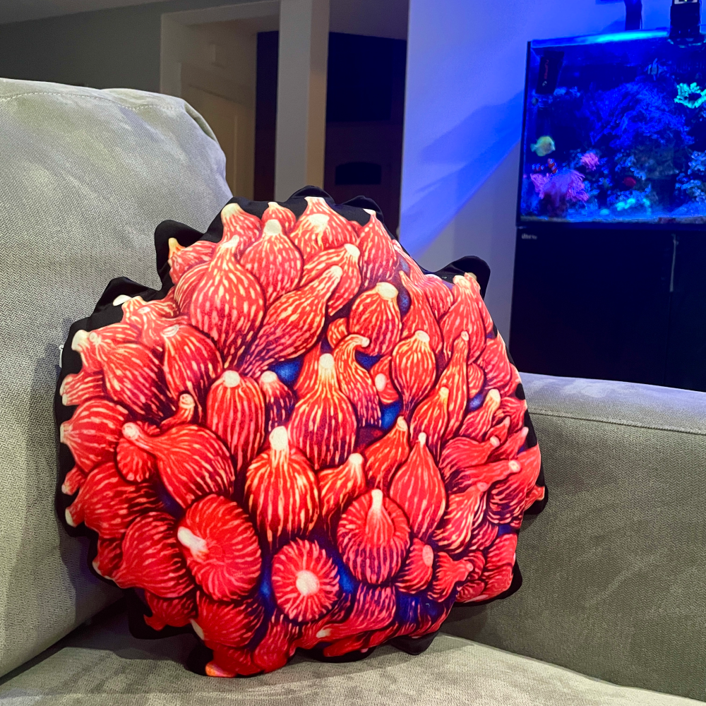 Rose Bubbletip Anemone Pillow - Reef of Clowns