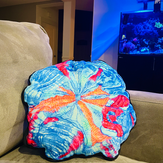 Ultra Rainbow Acantho Coral Pillow - Reef of Clowns