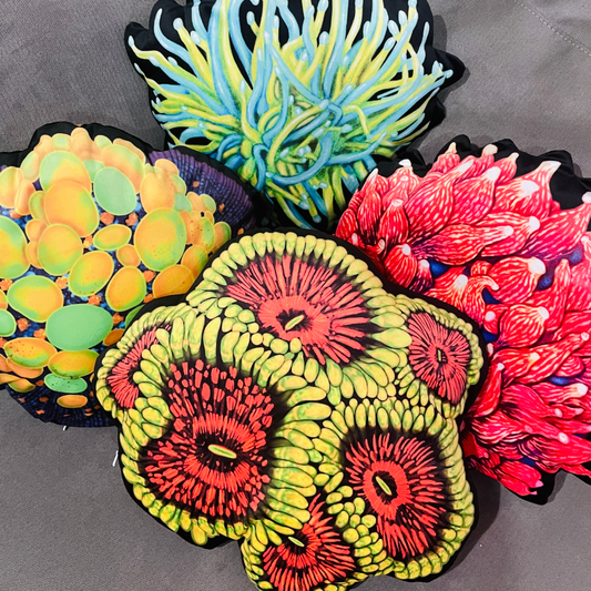 Grand Master Krakatoa Zoanthid Pillow - Reef of Clowns