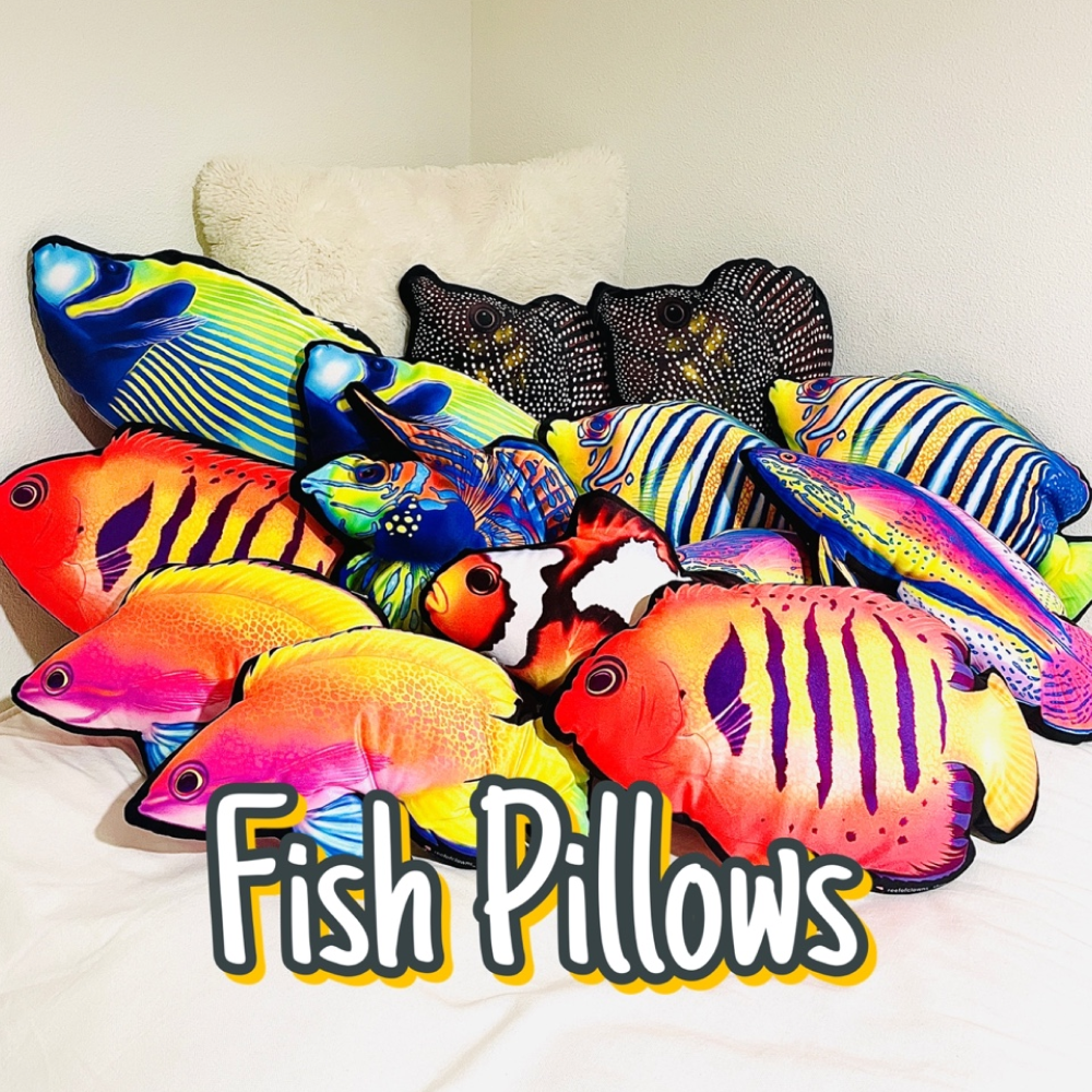 Super Male Lineatus Wrasse Pillow - Reef of Clowns