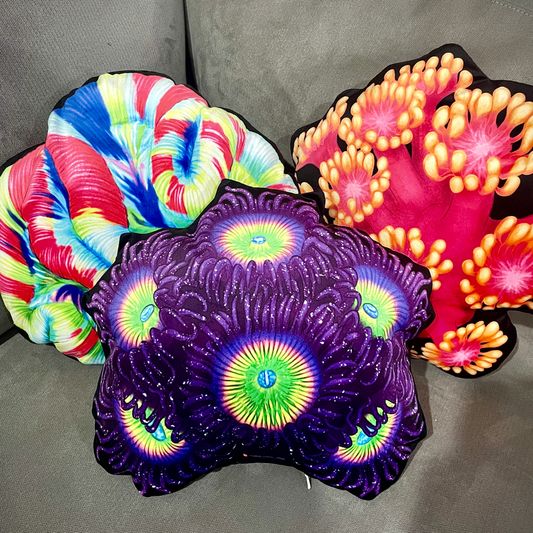 Golden Inferno Goniopora Pillow - Reef of Clowns