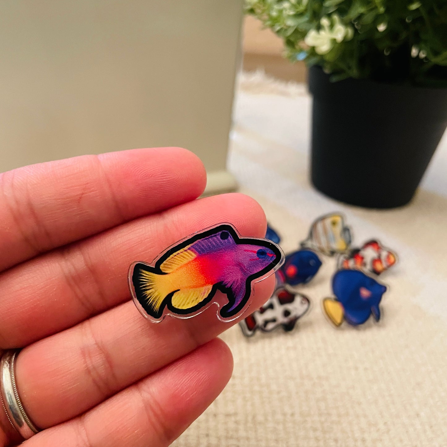 Royal Gramma Pin - Reef of Clowns LLC