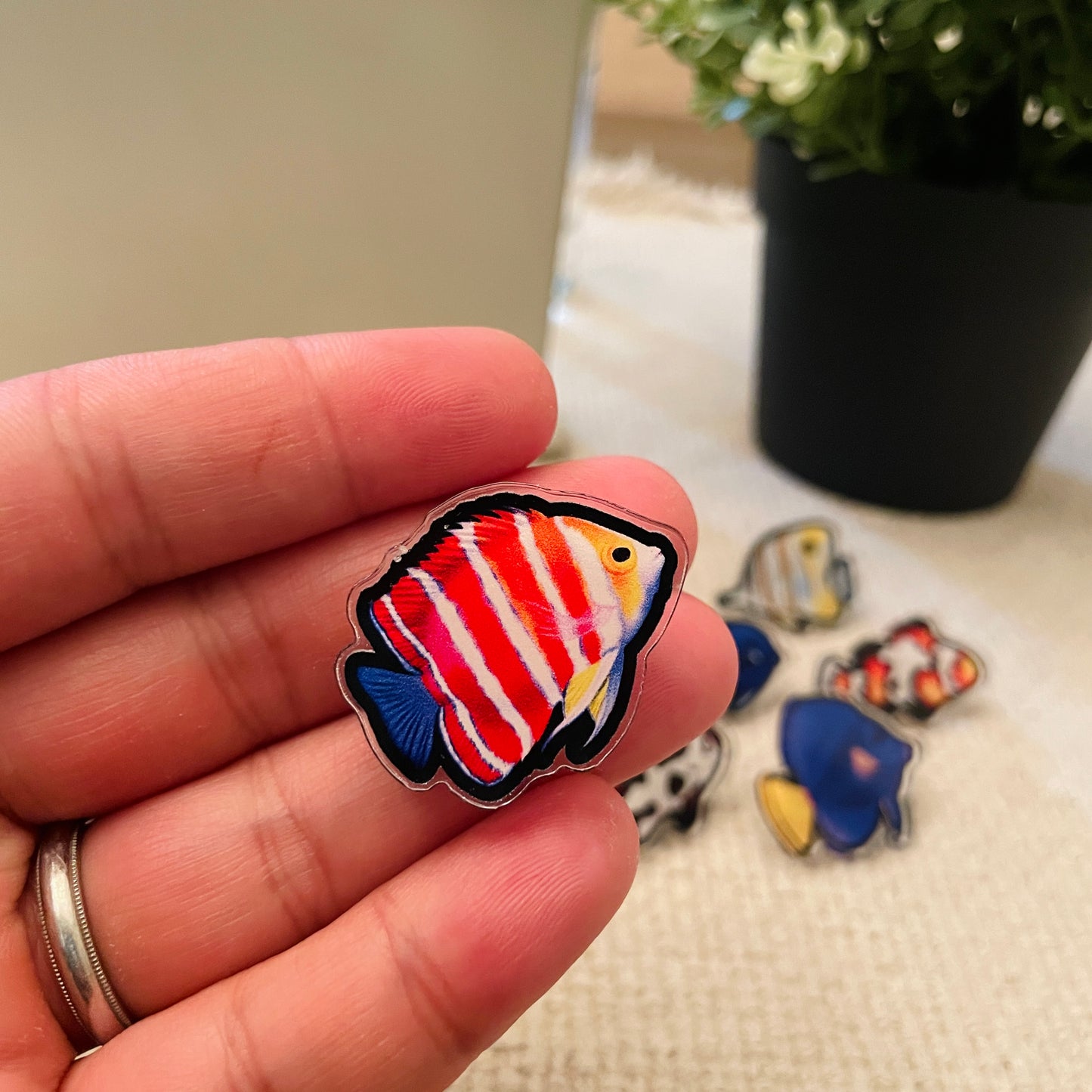 Peppermint Angelfish Pin - Reef of Clowns LLC