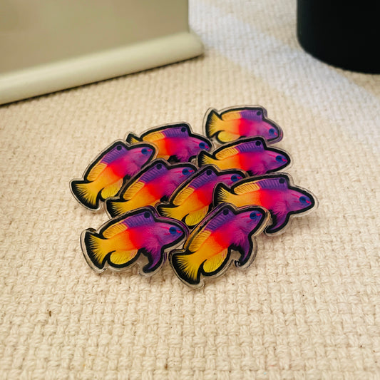 Royal Gramma Pin - Reef of Clowns LLC