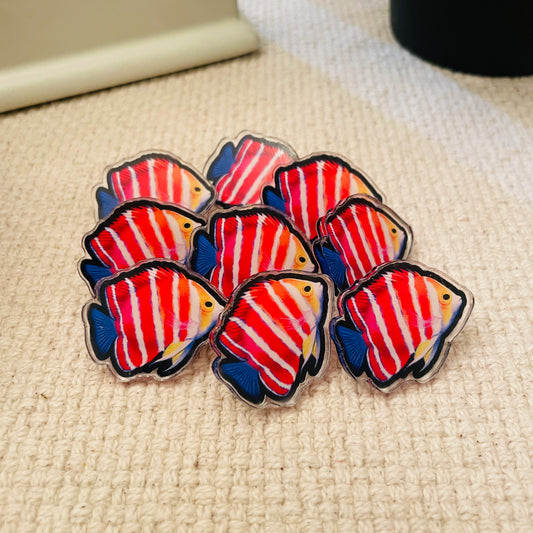 Peppermint Angelfish Pin - Reef of Clowns LLC