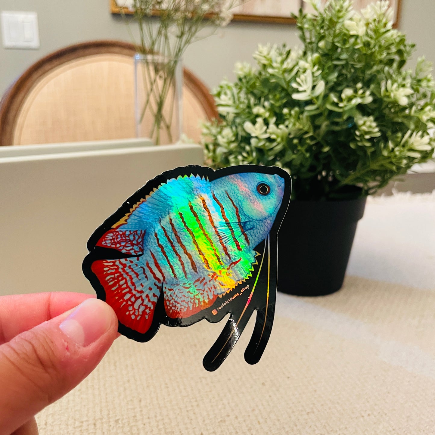 Blue Dwarf Gourami Sticker (Holographic) - Reef of Clowns LLC