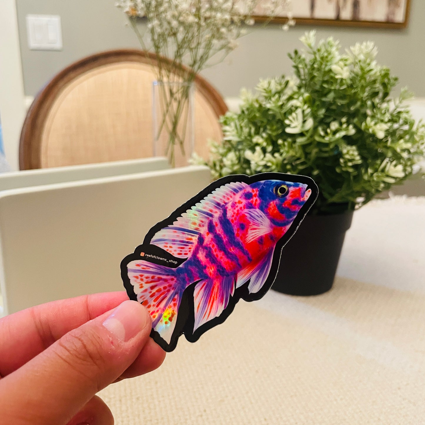 Peacock Cichlid Sticker (Holographic) - Reef of Clowns LLC