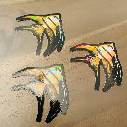Angelfish Sticker (Holographic) - Reef of Clowns LLC