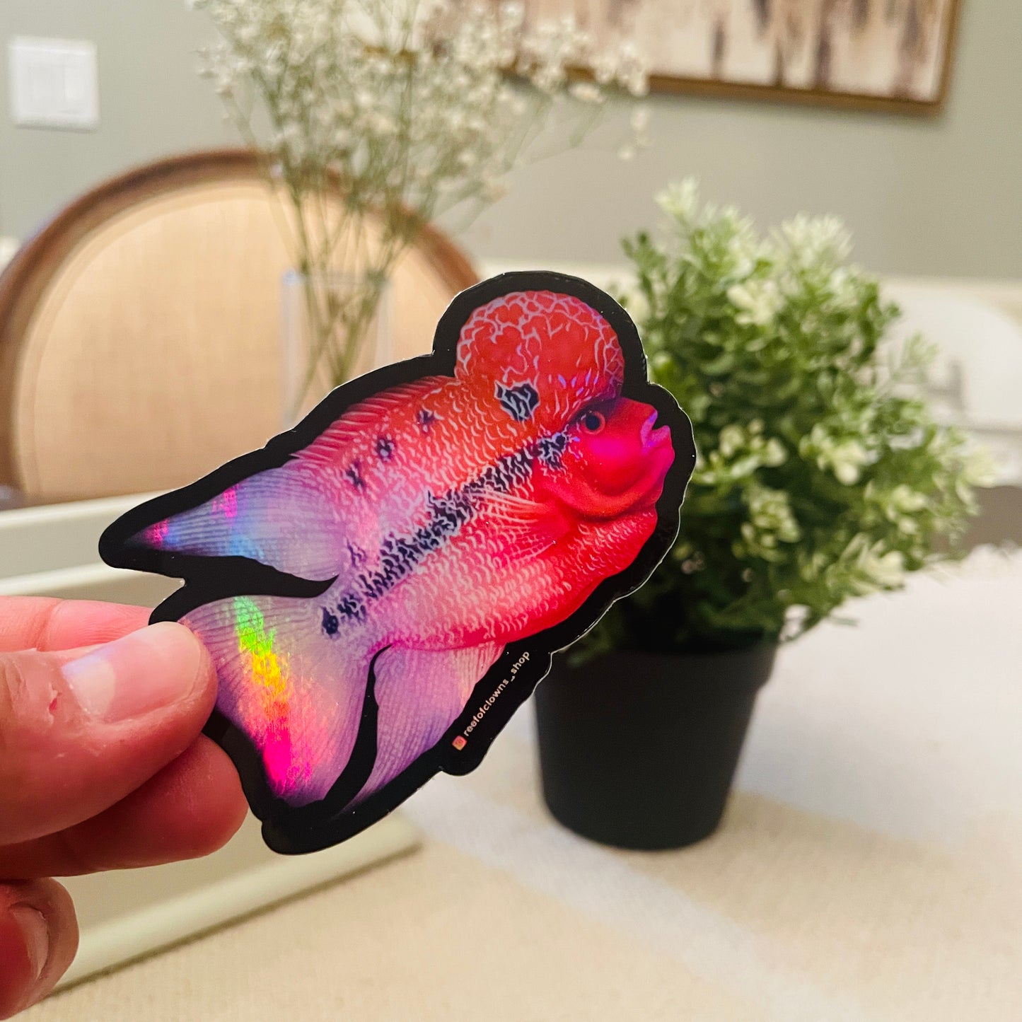 Red Dragon Flowerhorn Cichlid Sticker (Holographic) - Reef of Clowns LLC