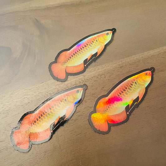 Arowana Sticker (Holographic) - Reef of Clowns LLC