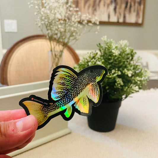 Sunshine Pleco Sticker (Holographic) - Reef of Clowns LLC