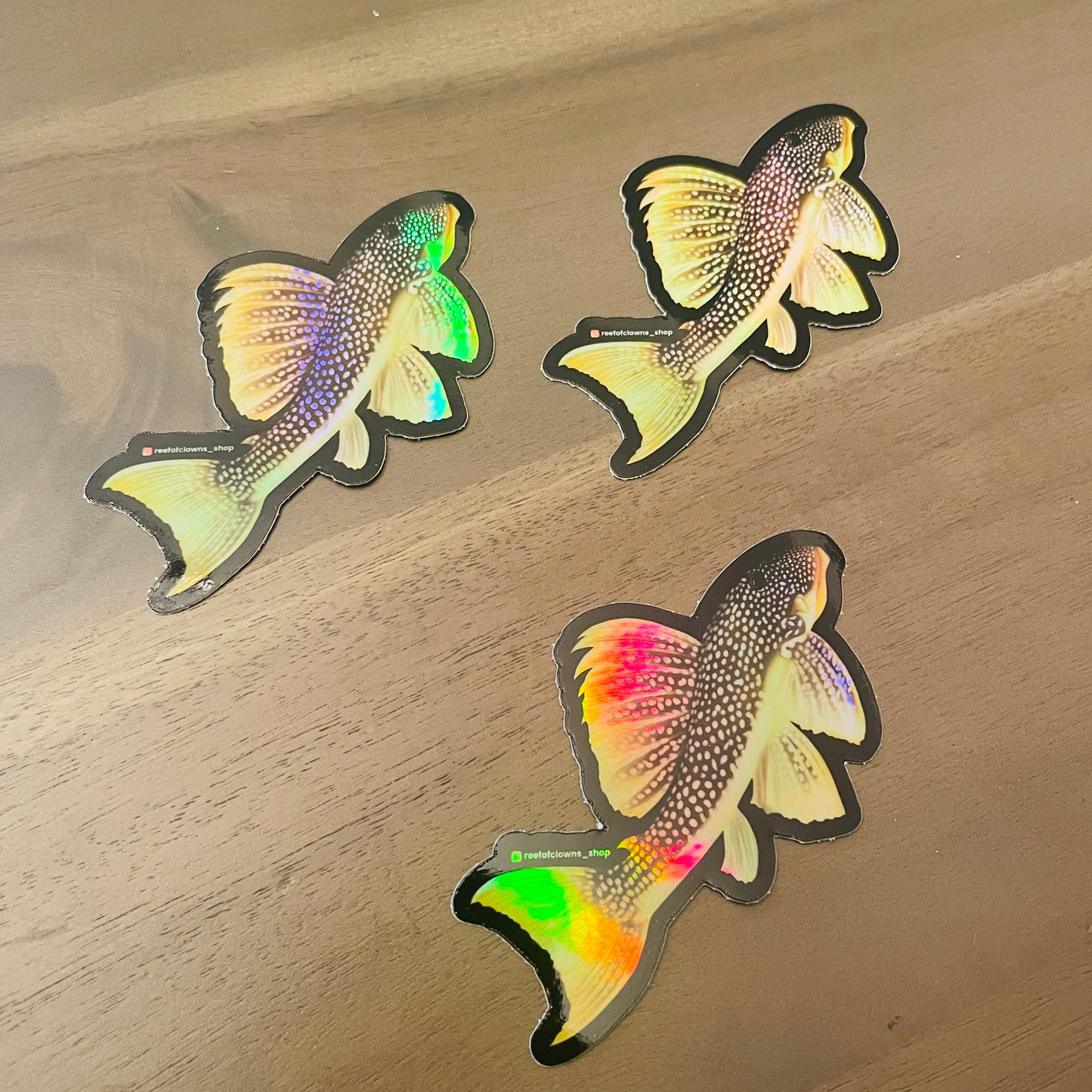 Sunshine Pleco Sticker (Holographic) - Reef of Clowns LLC