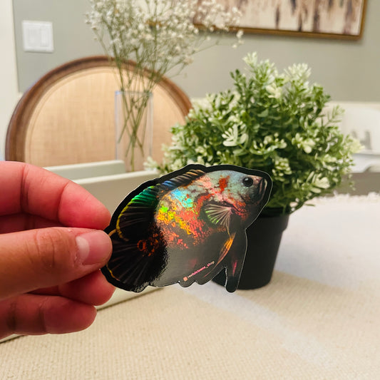 Oscar Cichlid Sticker (Holographic) - Reef of Clowns LLC