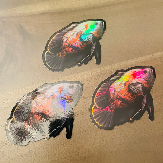 Oscar Cichlid Sticker (Holographic) - Reef of Clowns LLC