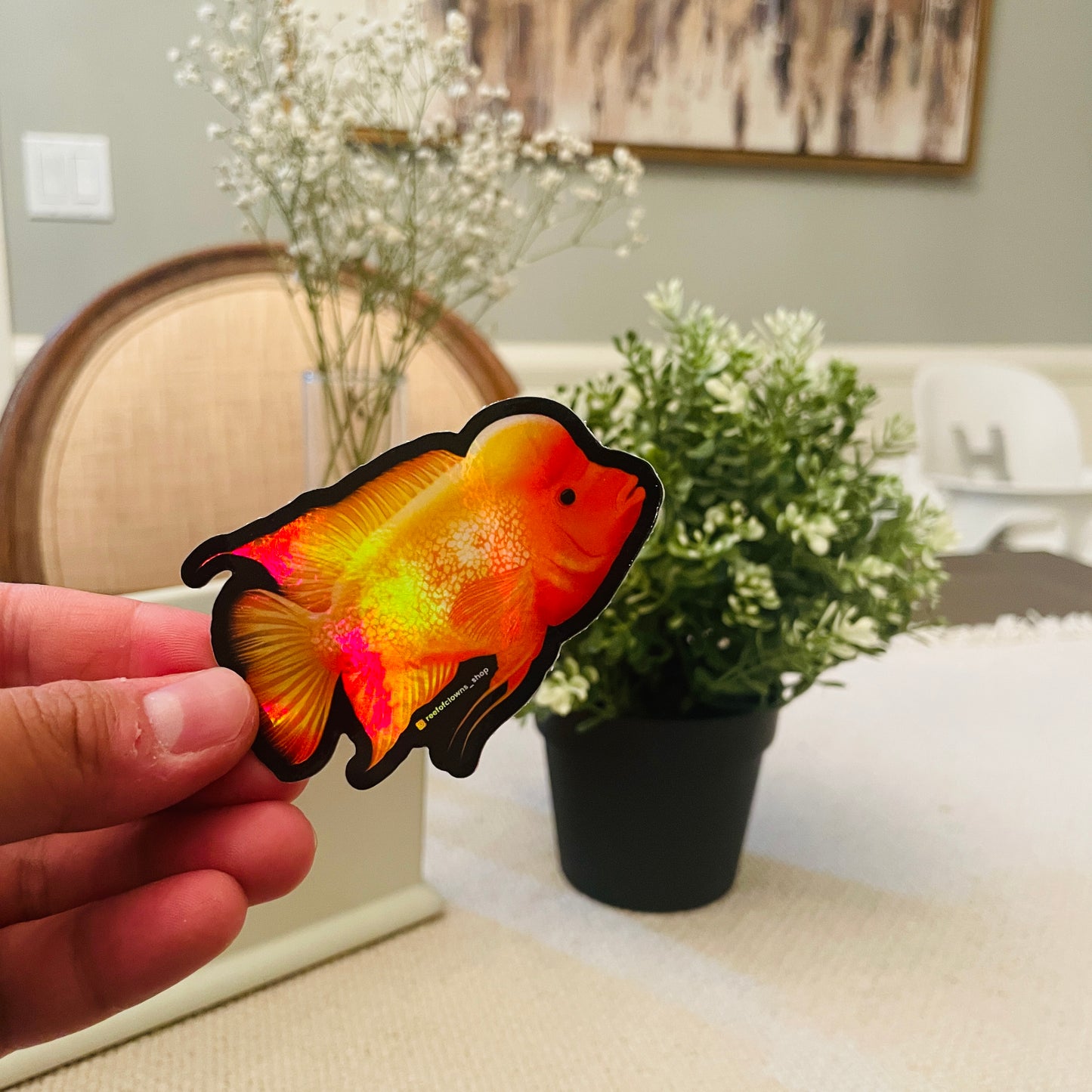 Midas Cichlid Sticker (Holographic) - Reef of Clowns LLC