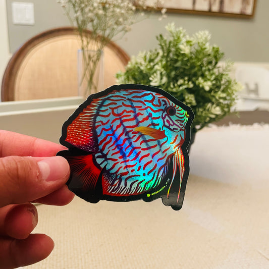 Blue Turquoise Discus Sticker (Holographic) - Reef of Clowns LLC