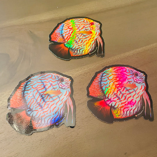 Blue Turquoise Discus Sticker (Holographic) - Reef of Clowns LLC