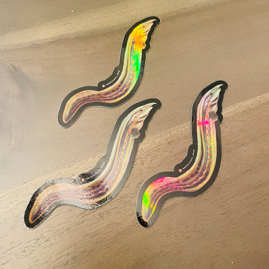 Fire Eel Sticker (Holographic) - Reef of Clowns LLC