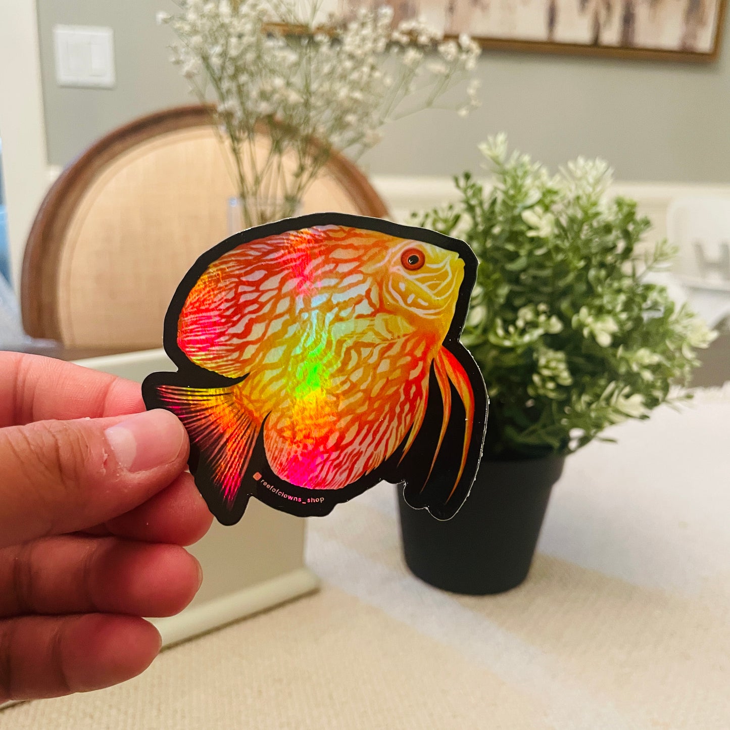 Pigeon Checkerboard Discus Sticker (Holographic) - Reef of Clowns LLC