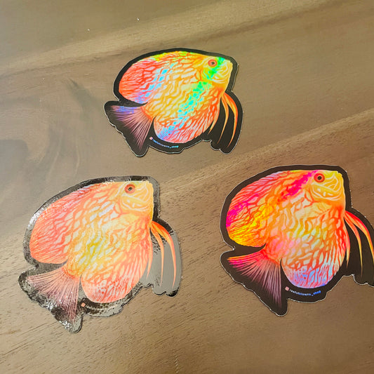 Pigeon Checkerboard Discus Sticker (Holographic) - Reef of Clowns LLC