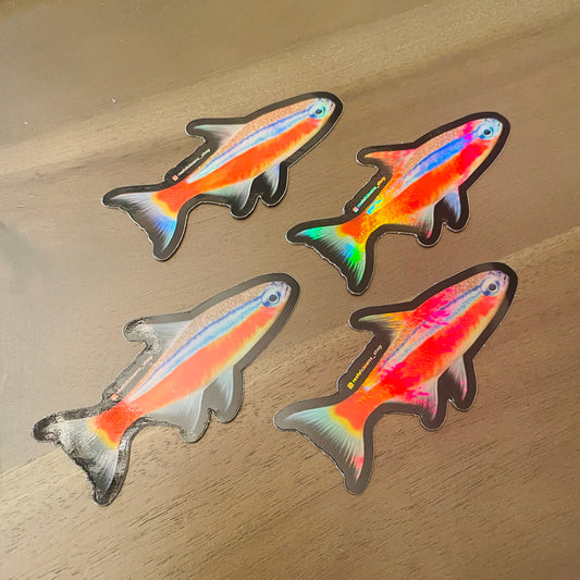 Neon Tetra Sticker (Holographic) - Reef of Clowns LLC