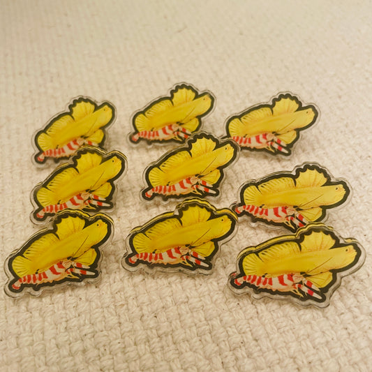 Yellow Watchman Goby & Pistol Shrimp Pin - Reef of Clowns LLC