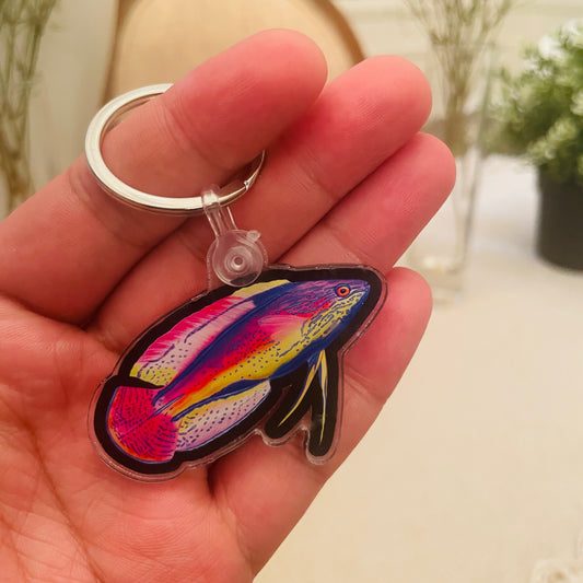 Supermale Lineatus Wrasse Keychain - Reef of Clowns LLC