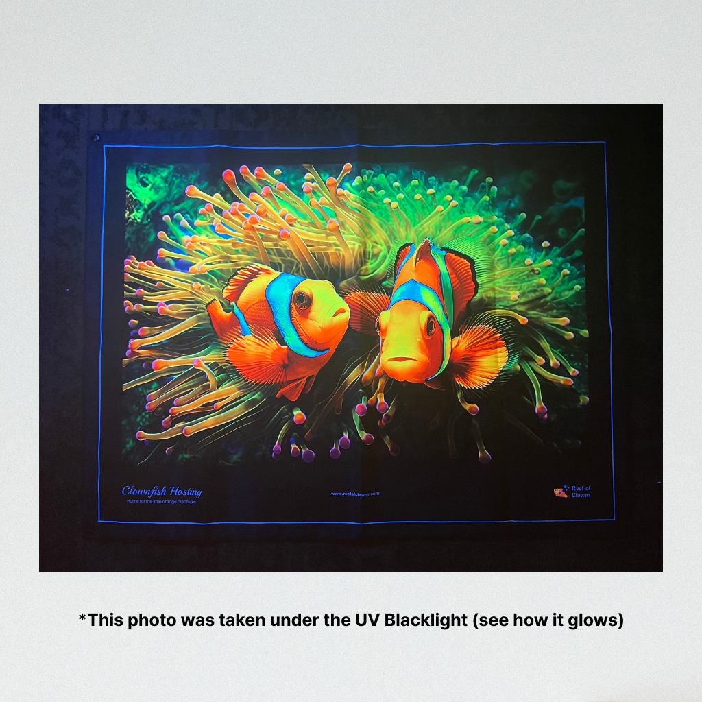 Clownfish Hosting UV Blacklight Tapestry - Reef of Clowns