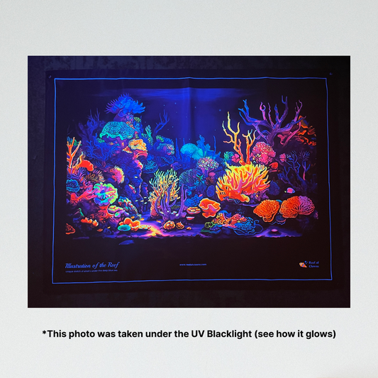 Illustration of the Reef UV Blacklight Tapestry - Reef of Clowns