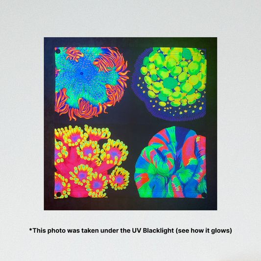 Vibrant Corals (V2) UV Blacklight Tapestry - Reef of Clowns
