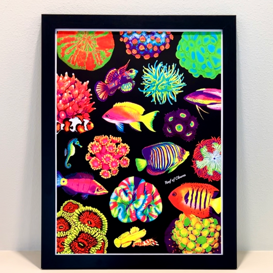 UV Blacklight Fish and Corals Poster (18"x24") - Reef of Clowns LLC