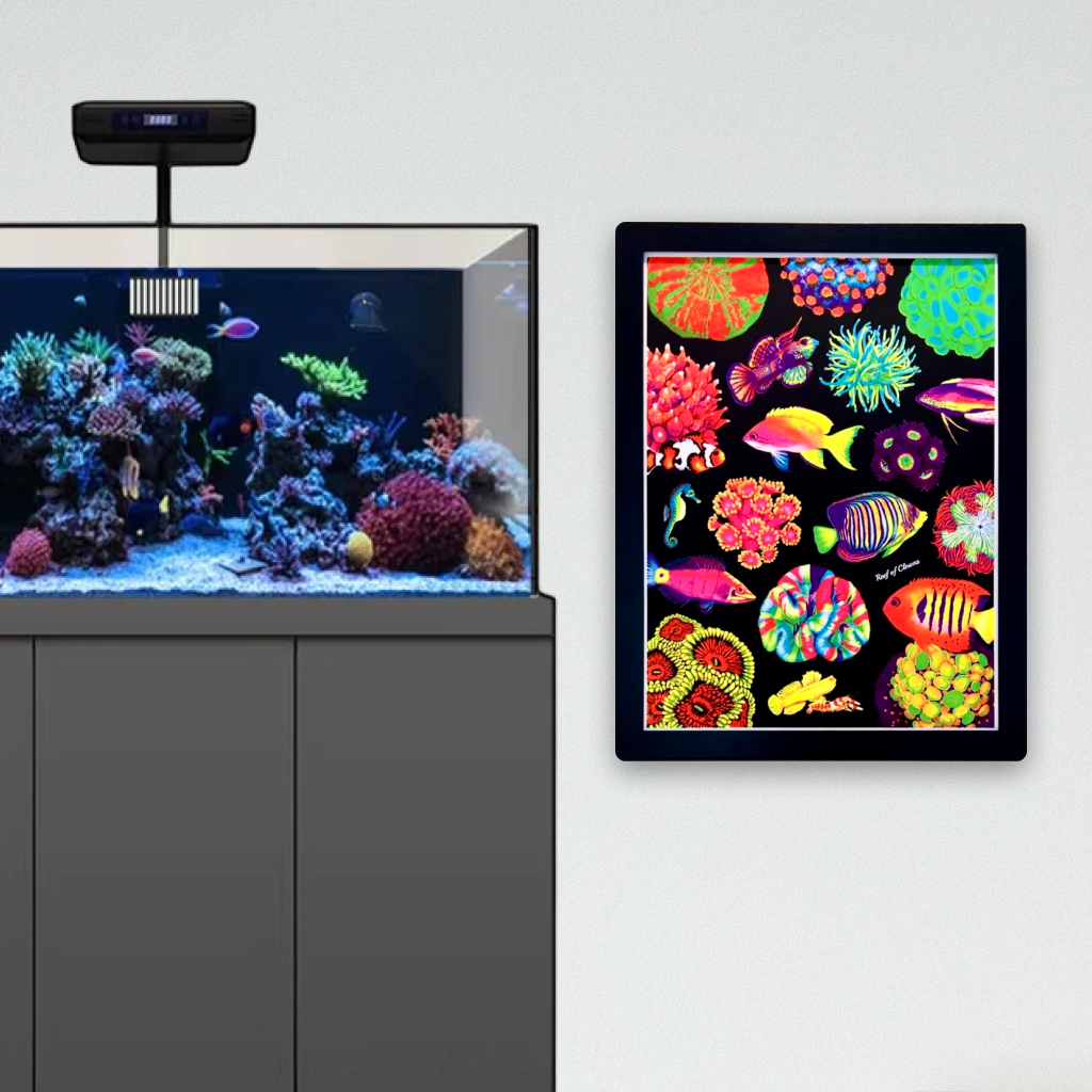 UV Blacklight Fish and Corals Poster (18"x24") - Reef of Clowns LLC