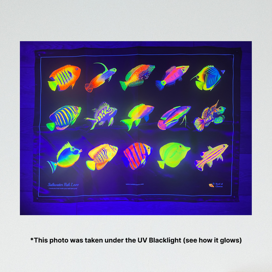 Saltwater Fish Love UV Blacklight Tapestry - Reef of Clowns LLC