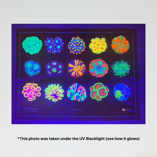 Coral Festival UV Blacklight Tapestry - Reef of Clowns LLC