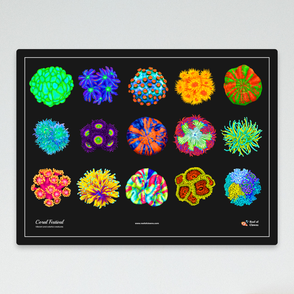 Coral Festival UV Blacklight Tapestry - Reef of Clowns LLC