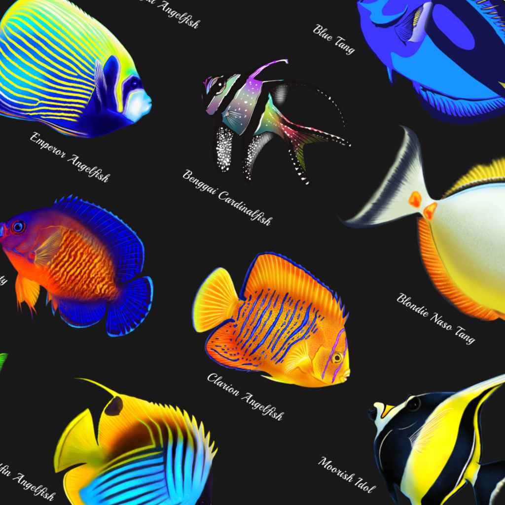 Saltwater Reef Fish Collection w/ Names - Reef of Clowns LLC