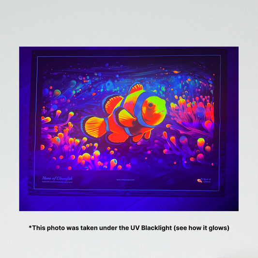Home of Clownfish UV Blacklight Tapestry