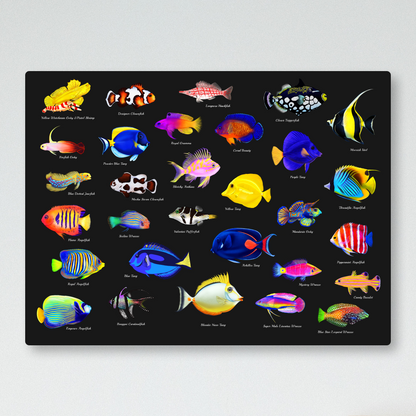 Reef Fish Collection UV Blacklight Tapestry