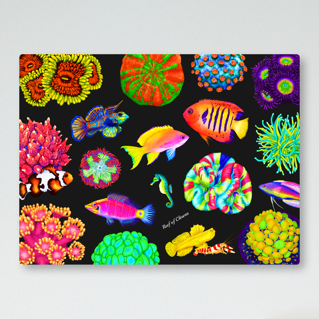 Coral and Fish Festival - Reef of Clowns