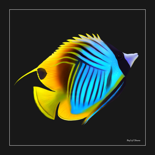 Threadfin Butterflyfish - Reef of Clowns LLC