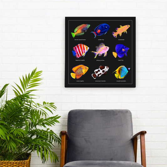 Rare Reef Fish Canvas Wall Art