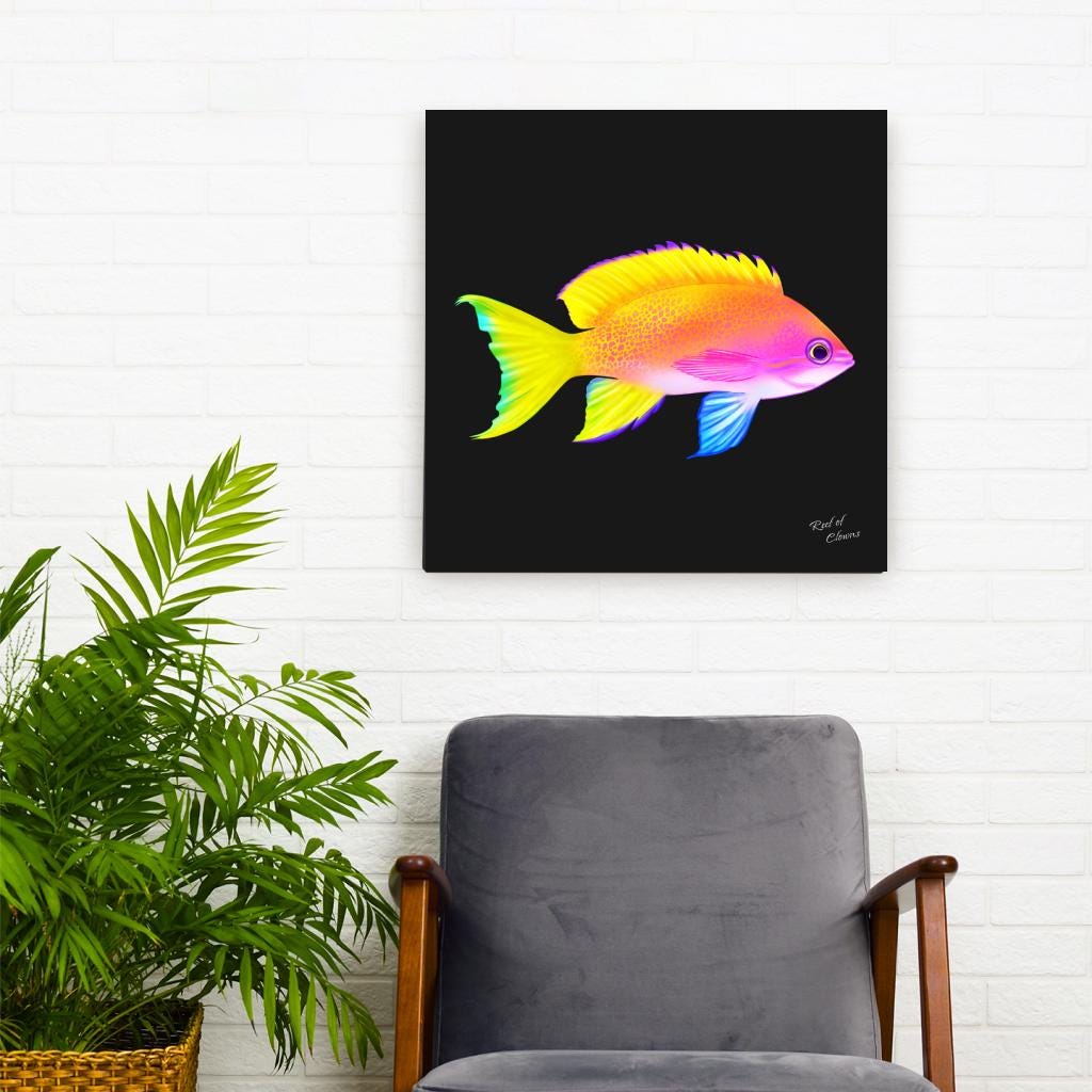 Anthias Canvas Wall Art