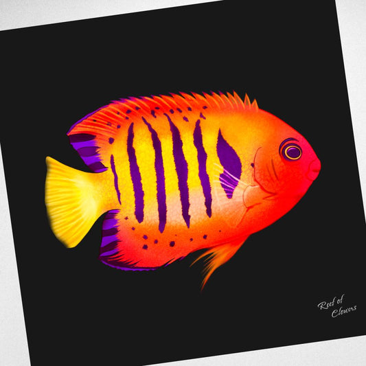 Flame Angelfish Canvas Wall Art