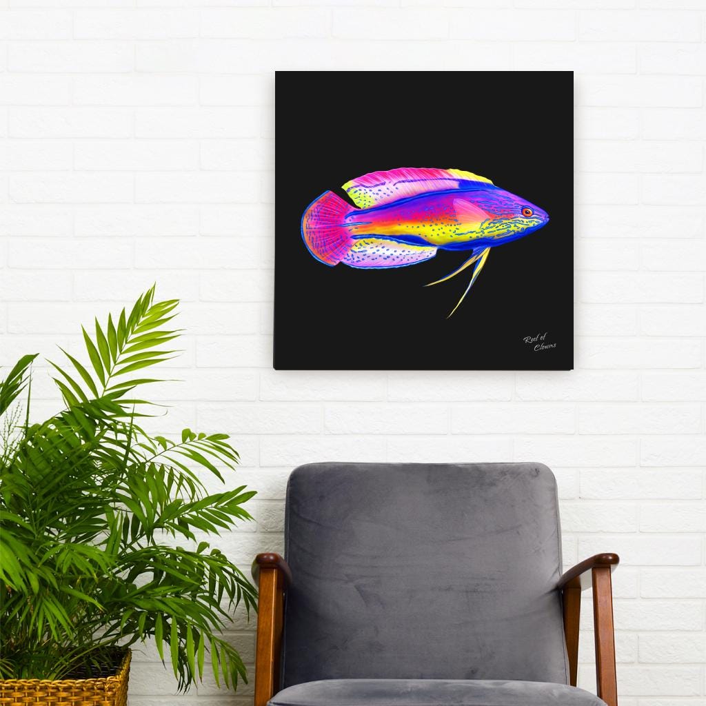 Super Male Lineatus Wrasse Canvas Wall Art