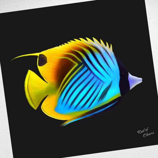 Threadfin Butterflyfish Canvas Wall Art