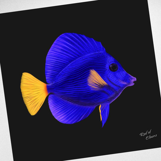 Purple Tang Canvas Wall Art