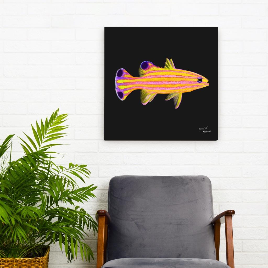 Candy Basslet Canvas Wall Art