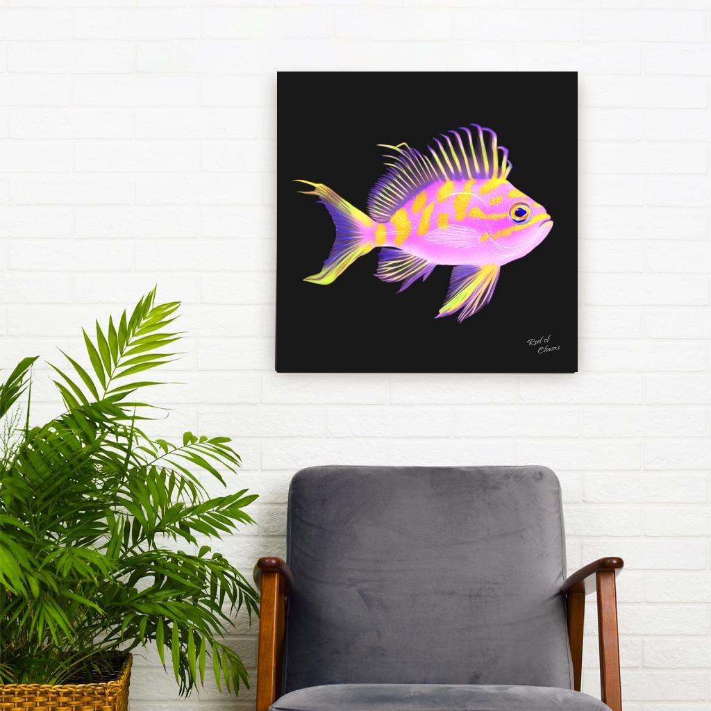 Borbonius Blotched Anthias Canvas Wall Art